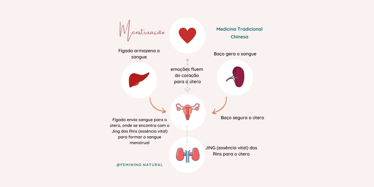 A fisiologia do ciclo menstrual na visão da Medicina Chinesa