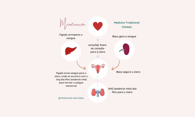 A fisiologia do ciclo menstrual na visão da Medicina Chinesa