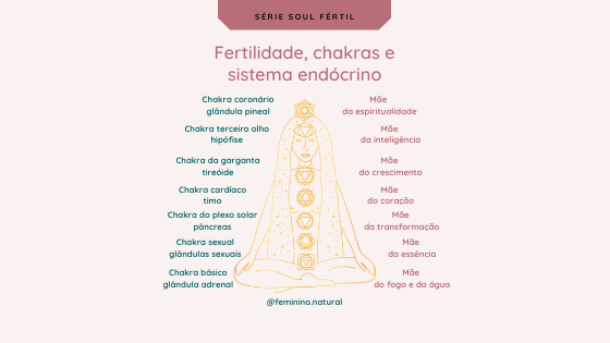 Fertilidade, Chakras e sistema endócrino