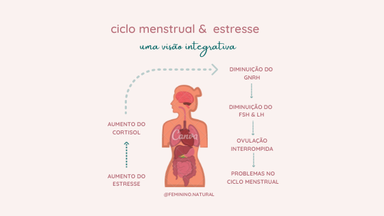 Ciclo menstrual & estresse