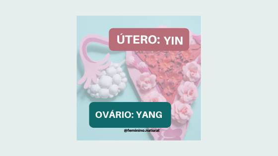 Útero Yin, Ovário Yang