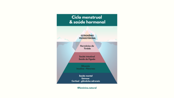 Síndrome do Ovário Policístico: ciclo menstrual e saúde hormonal