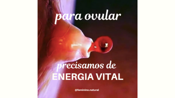 Para ovular, precisamos de energia vital