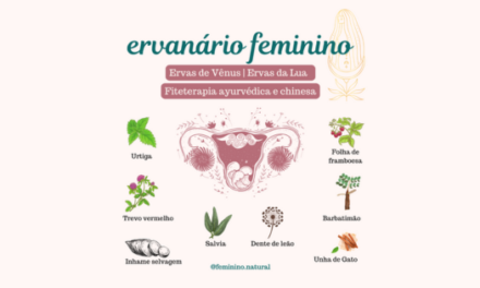 Ervanário Feminino – ciclo menstrual e fertilidade