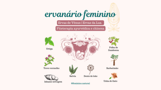 Ervanário Feminino – ciclo menstrual e fertilidade